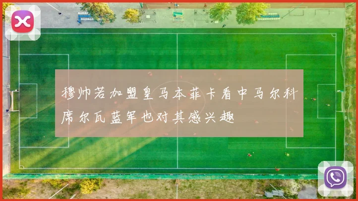 穆帅若加盟皇马本菲卡看中马尔科席尔瓦蓝军也对其感兴趣